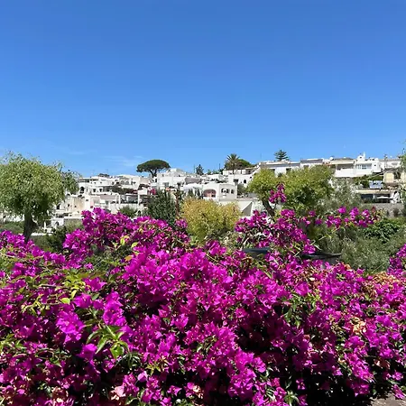 Casa Marina Verde, Apartamento Anacapri (Isola di Capri)
